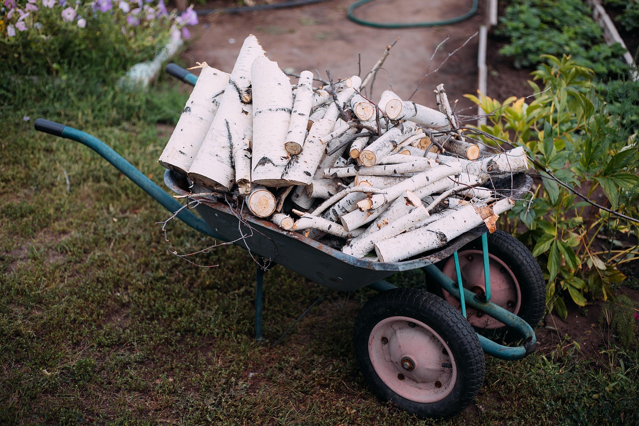 irina kukuts firewood 8313630 1280